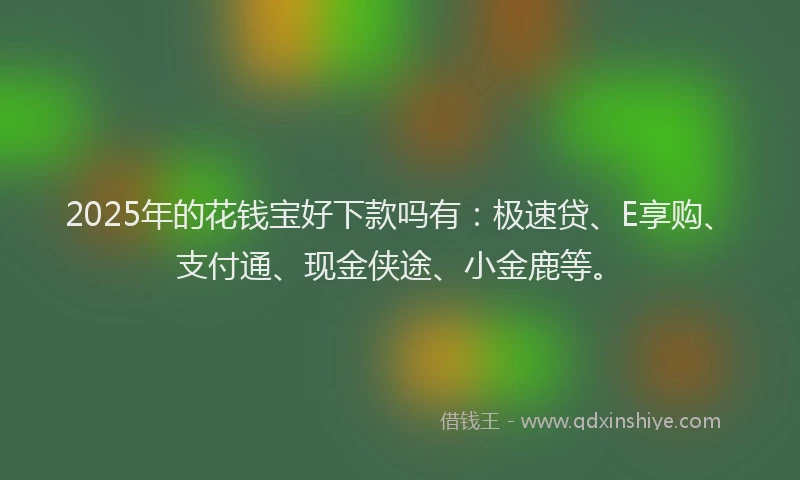 2025年的花钱宝好下款吗有：极速贷、E享购、支付通、现金侠途、小金鹿等。