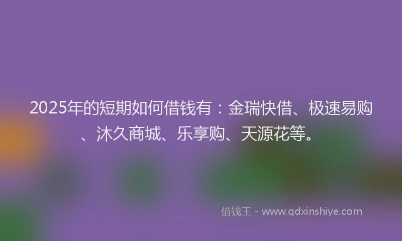 2025年的短期如何借钱有：金瑞快借、极速易购、沐久商城、乐享购、天源花等。