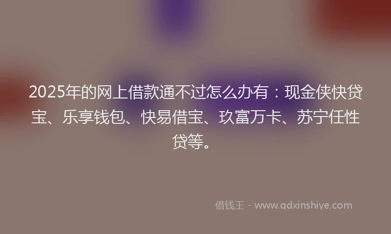 2025年的网上借款通不过怎么办有：现金侠快贷宝、乐享钱包、快易借宝、玖富万卡、苏宁任性贷等。