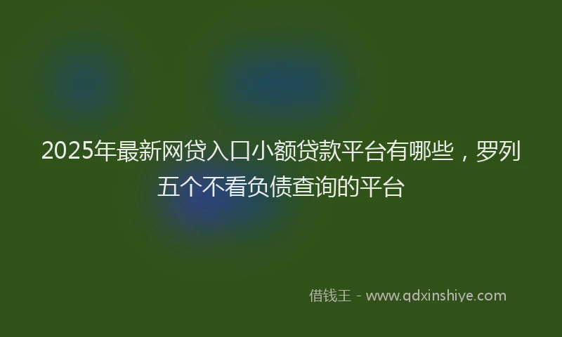 2025年最新网贷入口小额贷款平台有哪些，罗列五个不看负债查询的平台