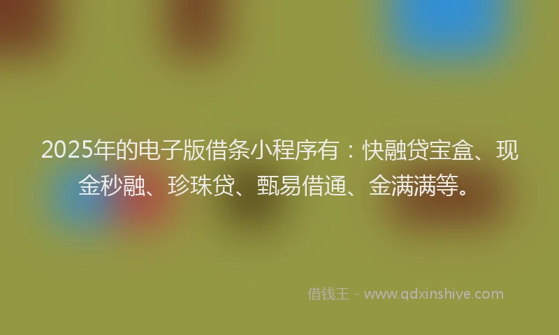 2025年的电子版借条小程序有：快融贷宝盒、现金秒融、珍珠贷、甄易借通、金满满等。