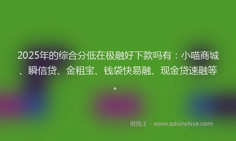 2025年的综合分低在极融好下款吗有：小喵商城、瞬信贷、金租宝、钱袋快易融、现金贷速融等。