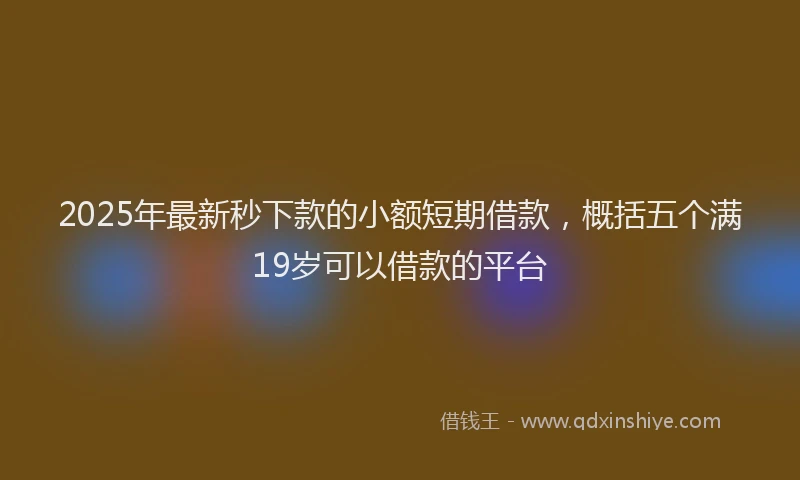 2025年最新秒下款的小额短期借款，概括五个满19岁可以借款的平台