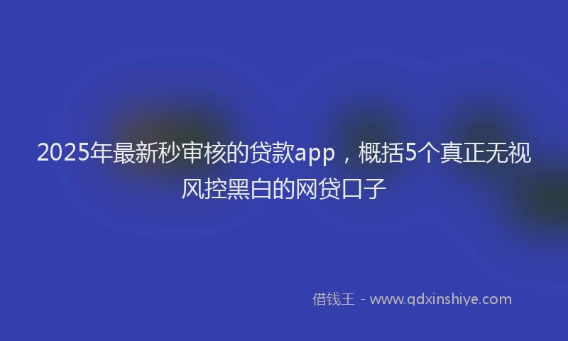 2025年最新秒审核的贷款app，概括5个真正无视风控黑白的网贷口子
