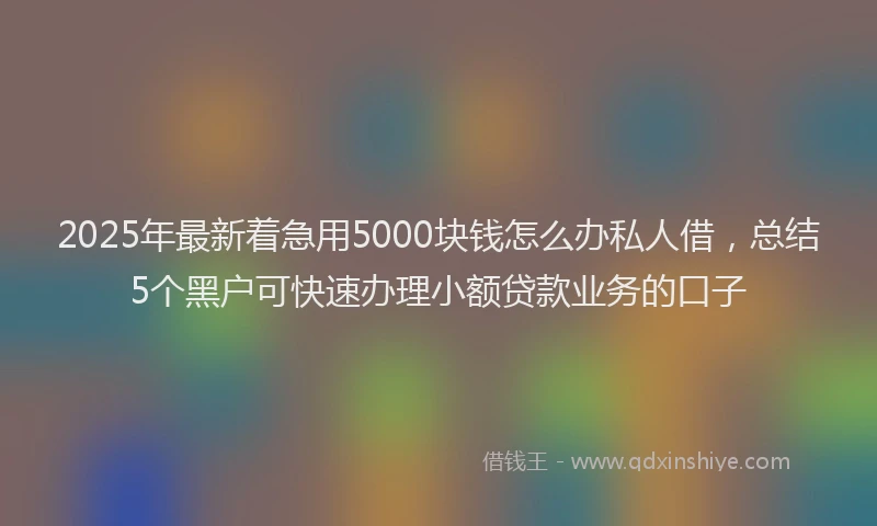 2025年最新着急用5000块钱怎么办私人借，总结5个黑户可快速办理小额贷款业务的口子