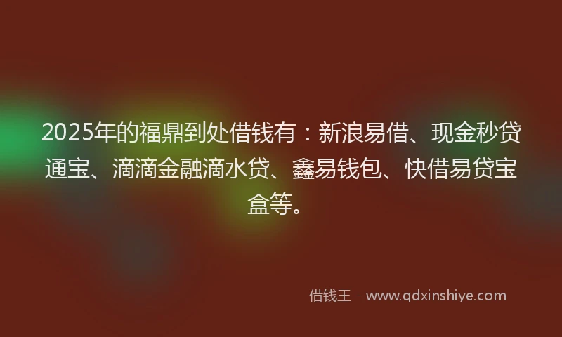 2025年的福鼎到处借钱有：新浪易借、现金秒贷通宝、滴滴金融滴水贷、鑫易钱包、快借易贷宝盒等。