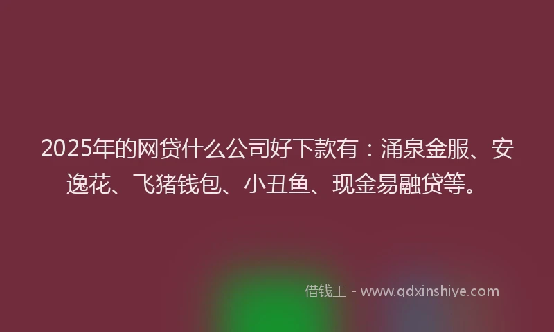 2025年的网贷什么公司好下款有：涌泉金服、安逸花、飞猪钱包、小丑鱼、现金易融贷等。
