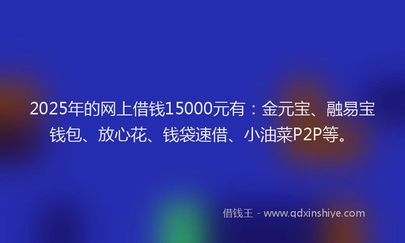 2025年的网上借钱15000元有：金元宝、融易宝钱包、放心花、钱袋速借、小油菜P2P等。