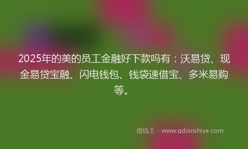 2025年的美的员工金融好下款吗有：沃易贷、现金易贷宝融、闪电钱包、钱袋速借宝、多米易购等。