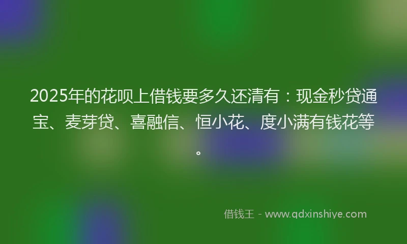 2025年的花呗上借钱要多久还清有：现金秒贷通宝、麦芽贷、喜融信、恒小花、度小满有钱花等。