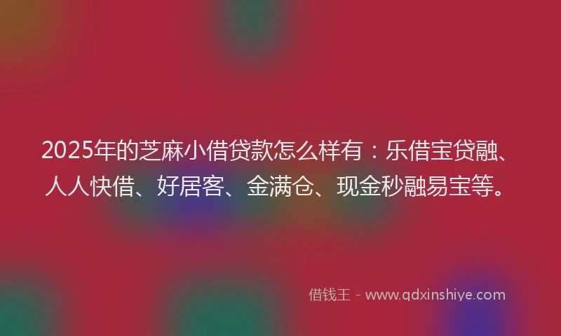 2025年的芝麻小借贷款怎么样有：乐借宝贷融、人人快借、好居客、金满仓、现金秒融易宝等。
