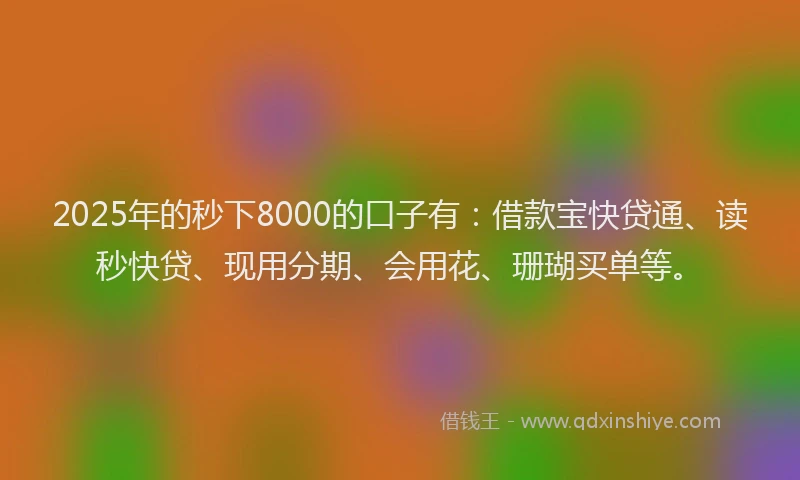 2025年的秒下8000的口子有：借款宝快贷通、读秒快贷、现用分期、会用花、珊瑚买单等。