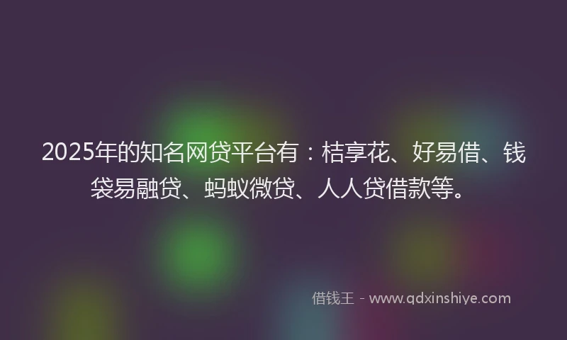 2025年的知名网贷平台有：桔享花、好易借、钱袋易融贷、蚂蚁微贷、人人贷借款等。