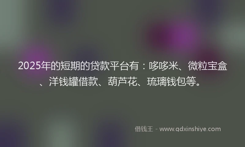 2025年的短期的贷款平台有：哆哆米、微粒宝盒、洋钱罐借款、葫芦花、琉璃钱包等。