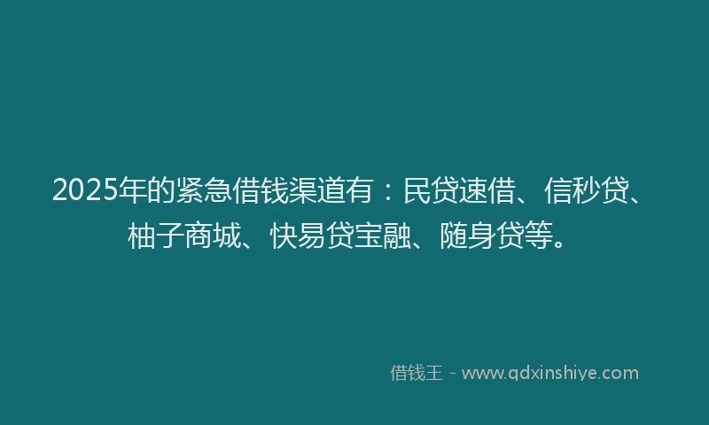 2025年的紧急借钱渠道有：民贷速借、信秒贷、柚子商城、快易贷宝融、随身贷等。