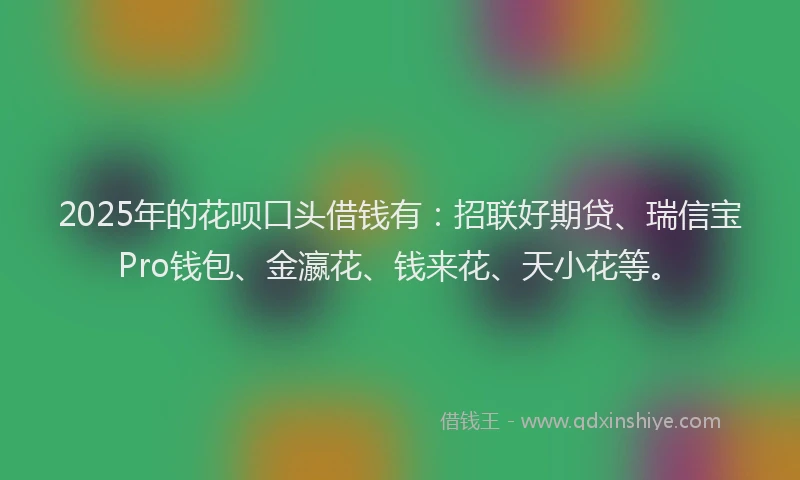 2025年的花呗口头借钱有：招联好期贷、瑞信宝Pro钱包、金瀛花、钱来花、天小花等。