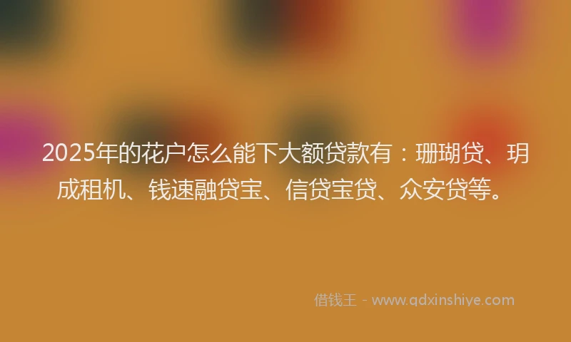 2025年的花户怎么能下大额贷款有：珊瑚贷、玥成租机、钱速融贷宝、信贷宝贷、众安贷等。