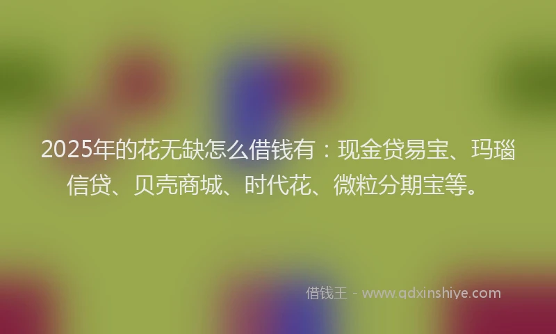 2025年的花无缺怎么借钱有：现金贷易宝、玛瑙信贷、贝壳商城、时代花、微粒分期宝等。