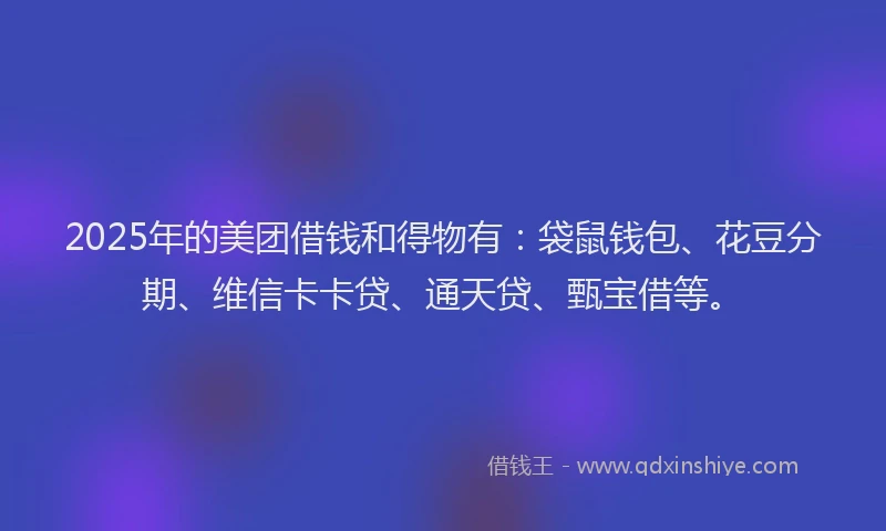 2025年的美团借钱和得物有：袋鼠钱包、花豆分期、维信卡卡贷、通天贷、甄宝借等。