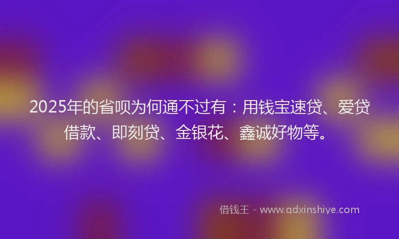 2025年的省呗为何通不过有：用钱宝速贷、爱贷借款、即刻贷、金银花、鑫诚好物等。