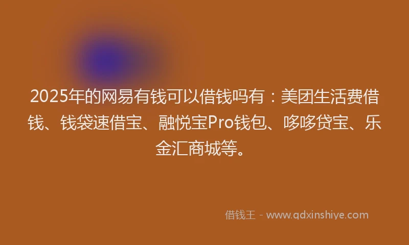 2025年的网易有钱可以借钱吗有：美团生活费借钱、钱袋速借宝、融悦宝Pro钱包、哆哆贷宝、乐金汇商城等。