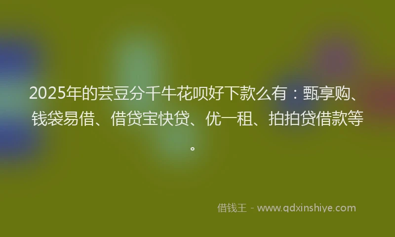 2025年的芸豆分千牛花呗好下款么有：甄享购、钱袋易借、借贷宝快贷、优一租、拍拍贷借款等。