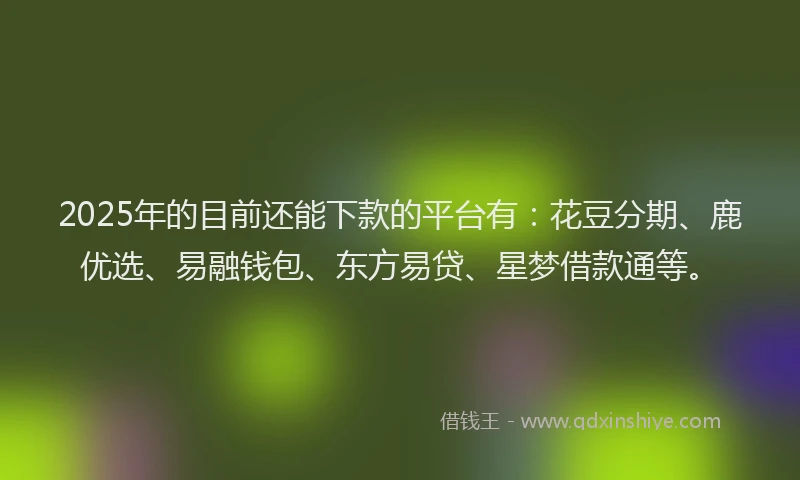 2025年的目前还能下款的平台有：花豆分期、鹿优选、易融钱包、东方易贷、星梦借款通等。