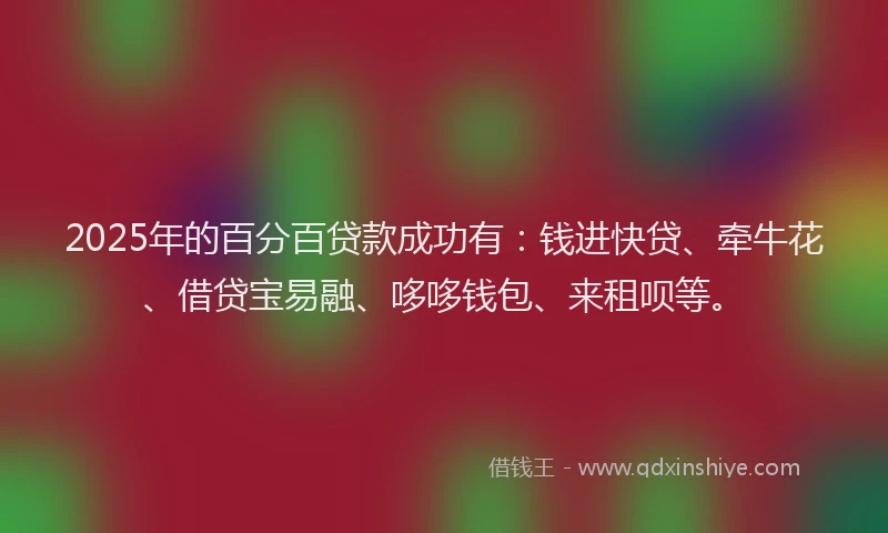 2025年的百分百贷款成功有：钱进快贷、牵牛花、借贷宝易融、哆哆钱包、来租呗等。