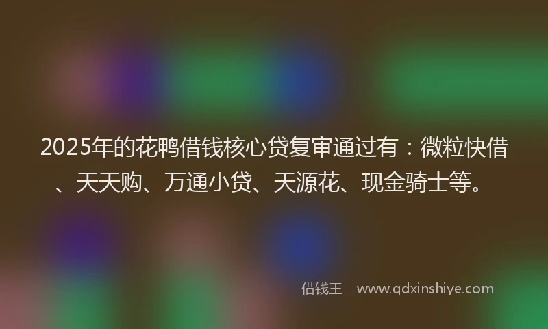 2025年的花鸭借钱核心贷复审通过有：微粒快借、天天购、万通小贷、天源花、现金骑士等。