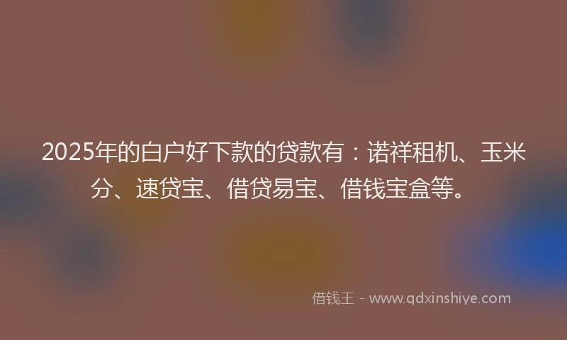 2025年的白户好下款的贷款有：诺祥租机、玉米分、速贷宝、借贷易宝、借钱宝盒等。