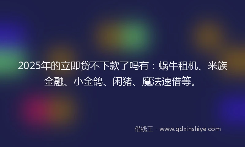2025年的立即贷不下款了吗有：蜗牛租机、米族金融、小金鸽、闲猪、魔法速借等。