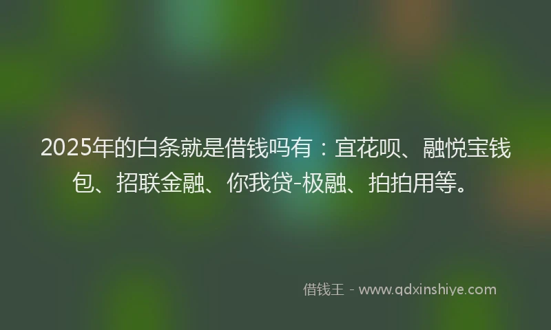 2025年的白条就是借钱吗有：宜花呗、融悦宝钱包、招联金融、你我贷-极融、拍拍用等。