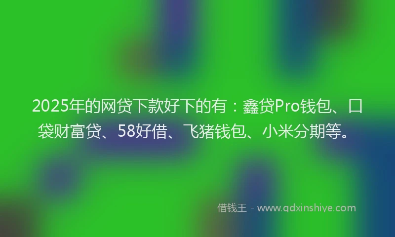 2025年的网贷下款好下的有：鑫贷Pro钱包、口袋财富贷、58好借、飞猪钱包、小米分期等。