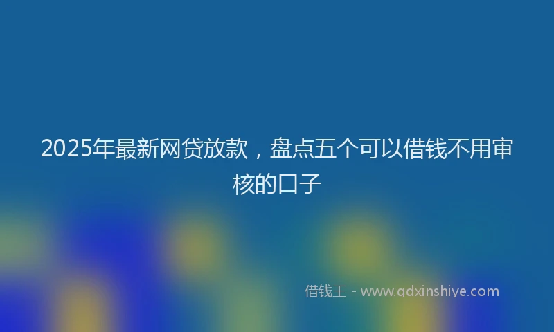 2025年最新网贷放款，盘点五个可以借钱不用审核的口子