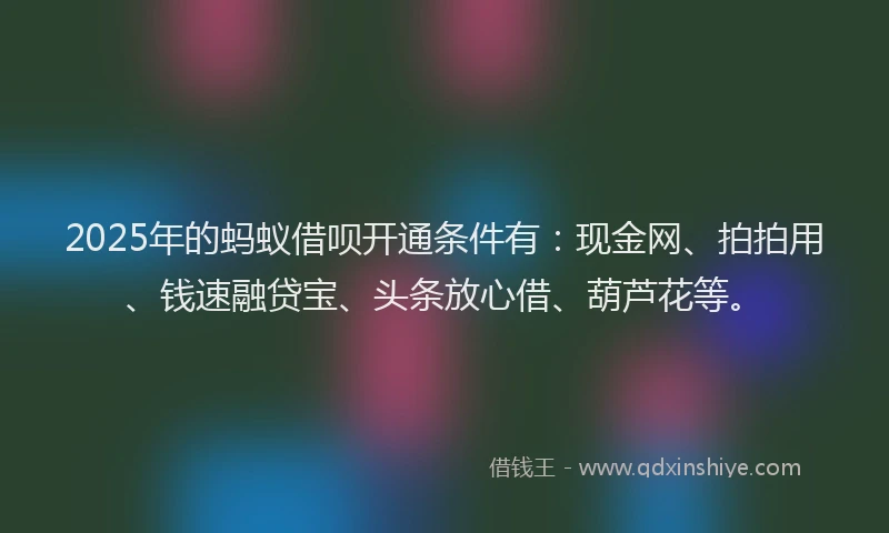 2025年的蚂蚁借呗开通条件有：现金网、拍拍用、钱速融贷宝、头条放心借、葫芦花等。