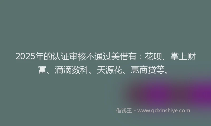 2025年的认证审核不通过美借有：花呗、掌上财富、滴滴数科、天源花、惠商贷等。