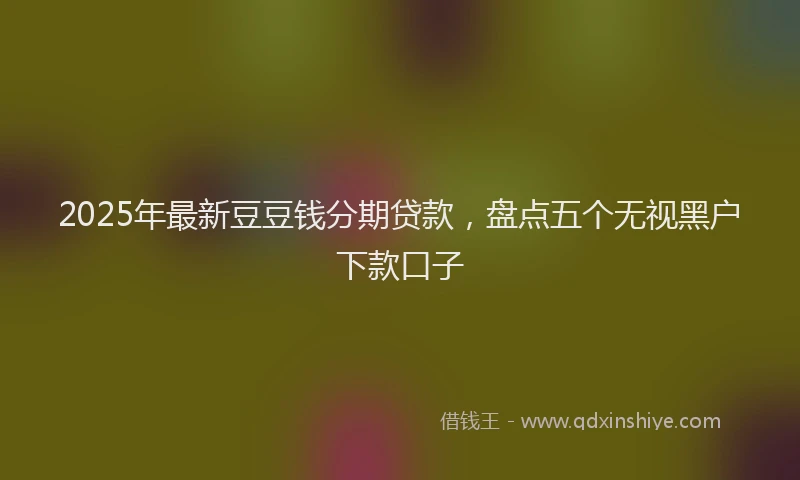 2025年最新豆豆钱分期贷款，盘点五个无视黑户下款口子
