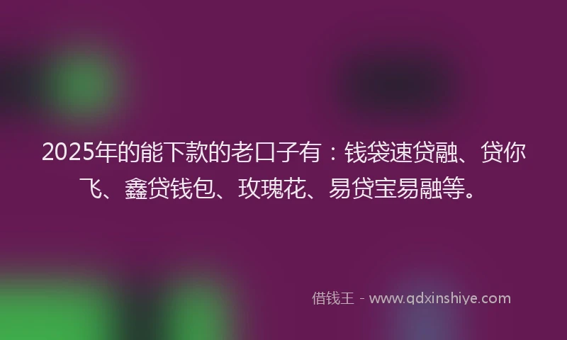 2025年的能下款的老口子有：钱袋速贷融、贷你飞、鑫贷钱包、玫瑰花、易贷宝易融等。