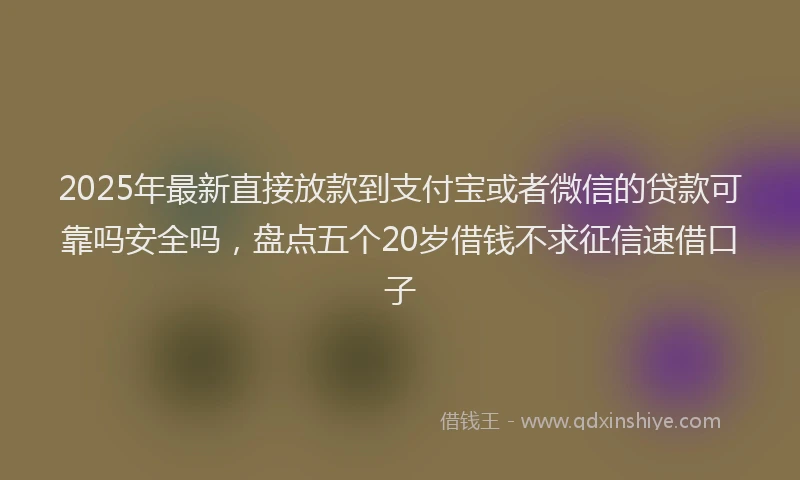2025年最新直接放款到支付宝或者微信的贷款可靠吗安全吗，盘点五个20岁借钱不求征信速借口子