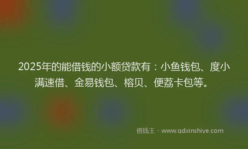 2025年的能借钱的小额贷款有：小鱼钱包、度小满速借、金易钱包、榕贝、便荔卡包等。
