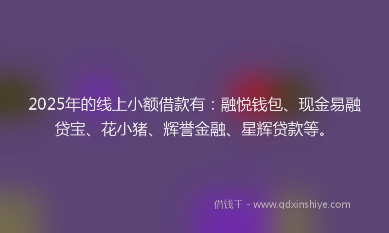 2025年的线上小额借款有：融悦钱包、现金易融贷宝、花小猪、辉誉金融、星辉贷款等。