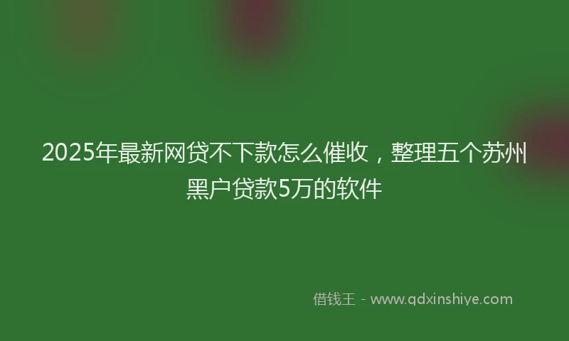 2025年最新网贷不下款怎么催收，整理五个苏州黑户贷款5万的软件