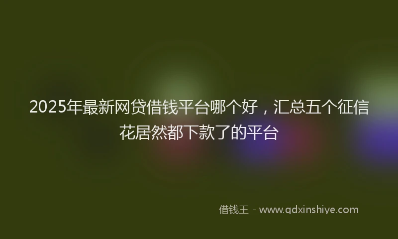 2025年最新网贷借钱平台哪个好，汇总五个征信花居然都下款了的平台