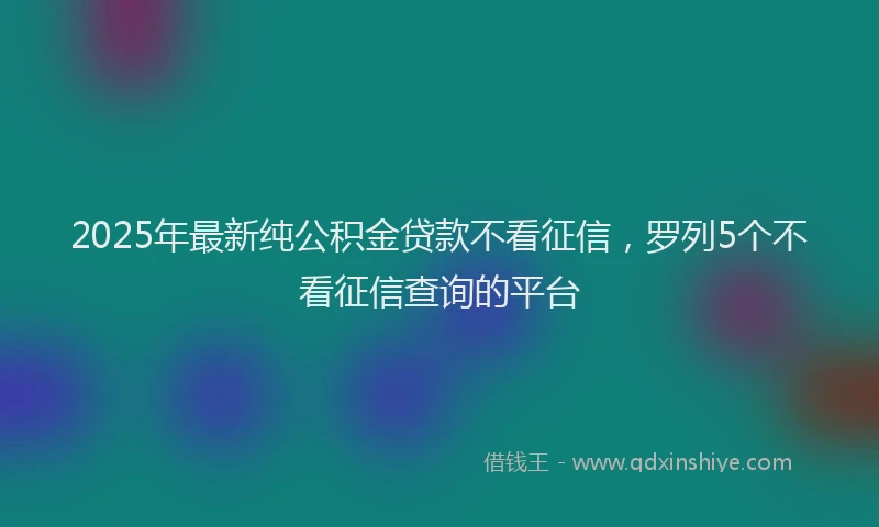 2025年最新纯公积金贷款不看征信，罗列5个不看征信查询的平台