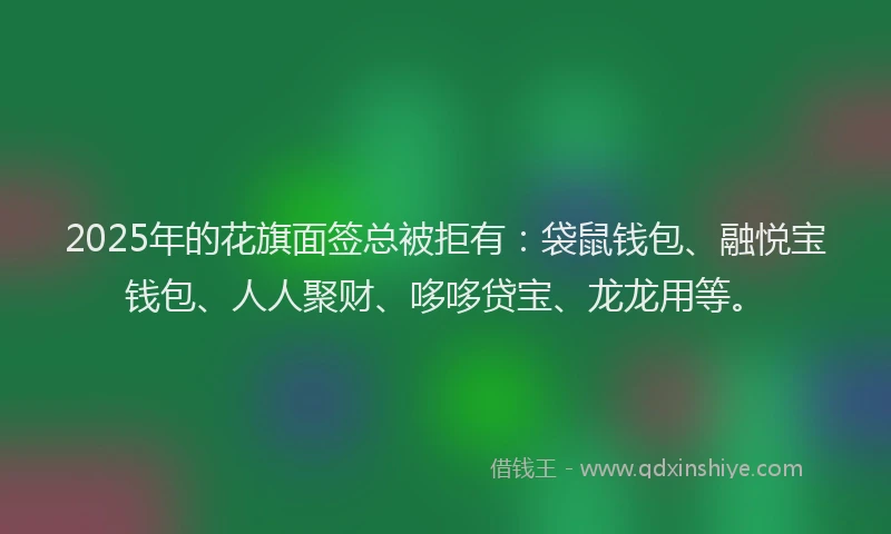 2025年的花旗面签总被拒有：袋鼠钱包、融悦宝钱包、人人聚财、哆哆贷宝、龙龙用等。