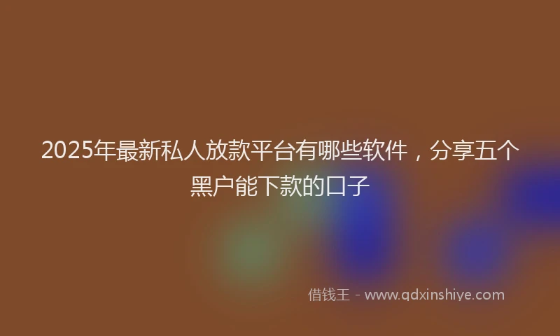 2025年最新私人放款平台有哪些软件，分享五个黑户能下款的口子