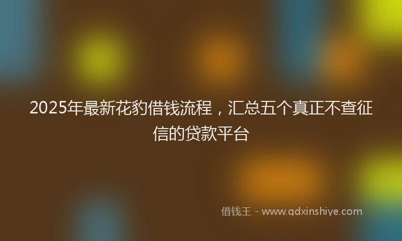 2025年最新花豹借钱流程，汇总五个真正不查征信的贷款平台