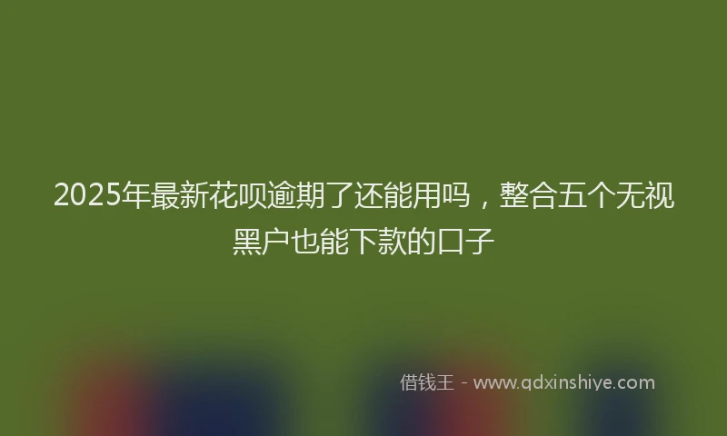 2025年最新花呗逾期了还能用吗，整合五个无视黑户也能下款的口子