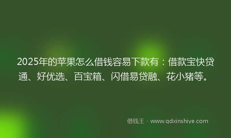 2025年的苹果怎么借钱容易下款有：借款宝快贷通、好优选、百宝箱、闪借易贷融、花小猪等。
