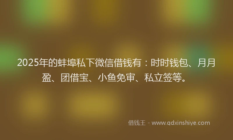 2025年的蚌埠私下微信借钱有：时时钱包、月月盈、团借宝、小鱼免审、私立签等。